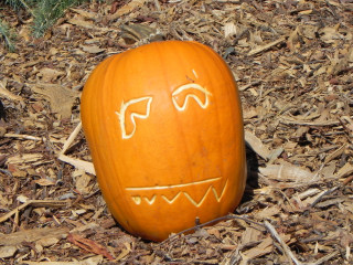 Confused Kid, Nipomo Pumpkin Patch best carving idea